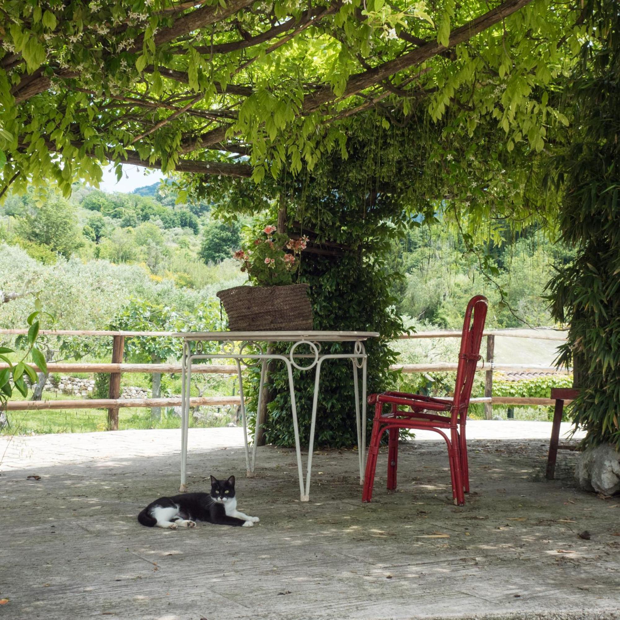 Villa De Luccheri Frasso Telesino Exterior photo